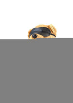 Bondage Bearz Bound Up Billy Stuffed Animal - Black/Brown
