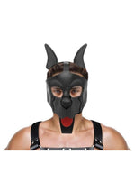 Master Series Alpha Dog Pup Hood