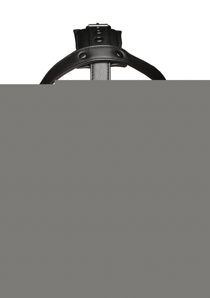 Master Series Leather Head Harness with Muzzle - Black