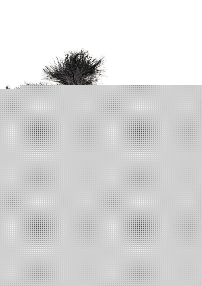 Nasstoys Bondage Whip,feather and Cuffs