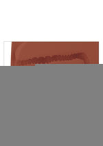 Pdx Plus EZ Bang Torso Masturbator