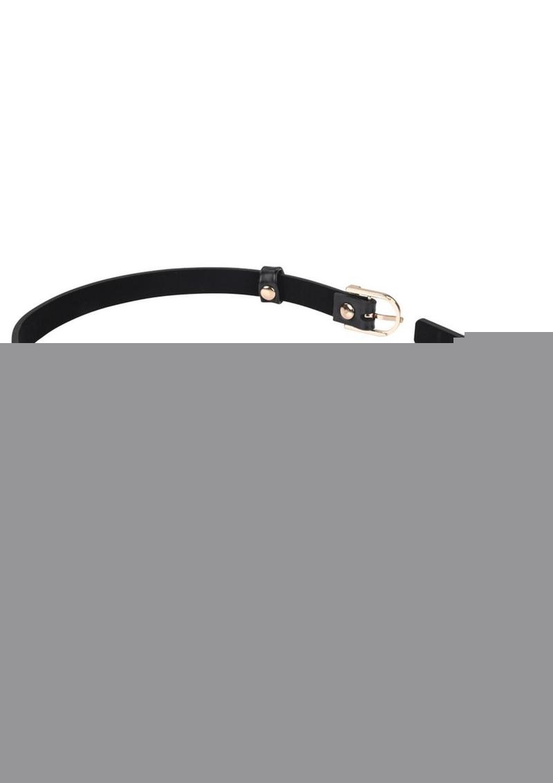 Sex and Mischief Double Buckle Day Collar