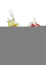 Super Fun Penis Candy Shop