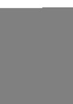 Tailz Fox Tail Anal Plug - Gray