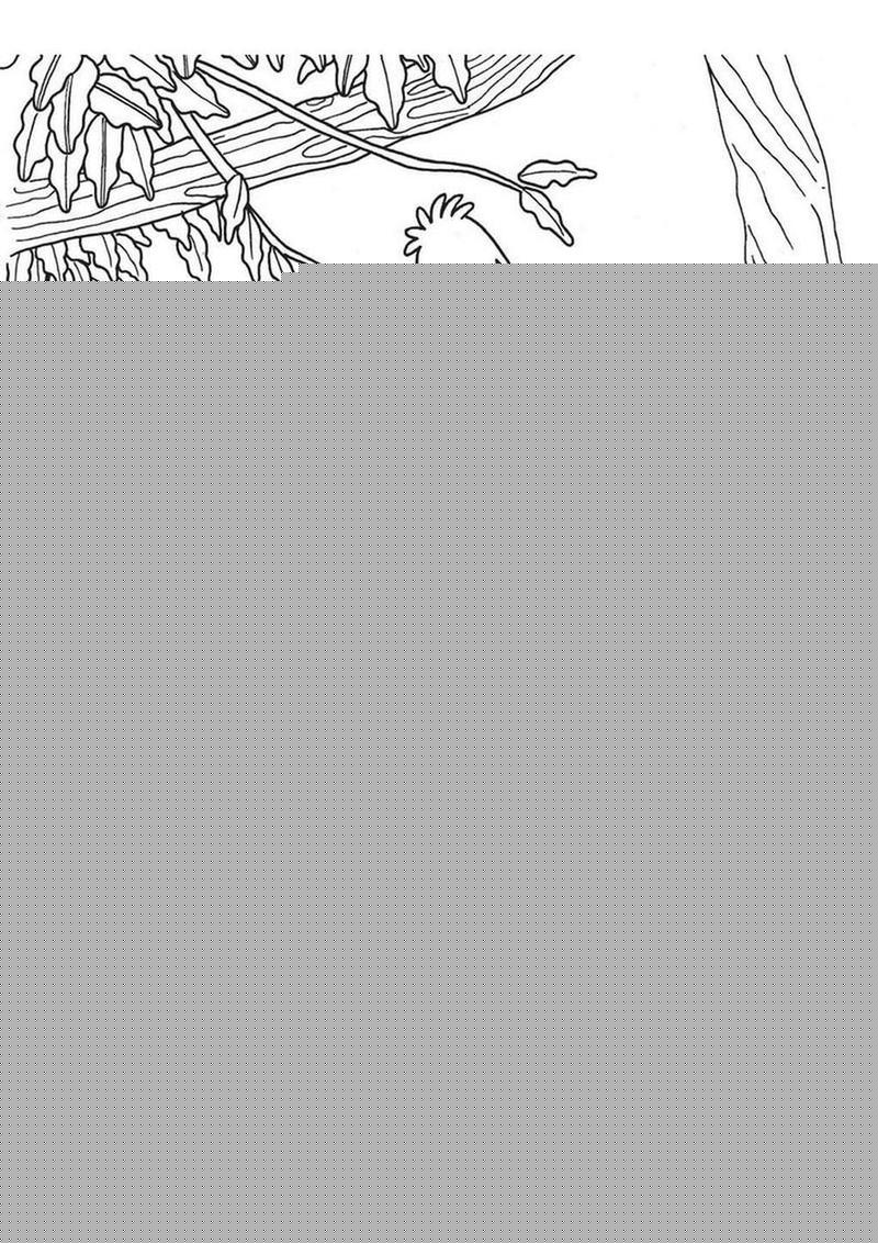 Who Smokes Weed? Coloring Book
