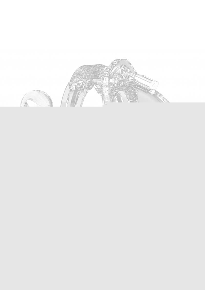Mancage Model 11 Chastity Cage with Plug - Clear - 4.5in