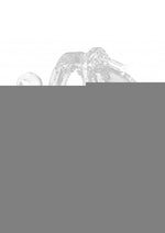 Mancage Model 11 Chastity Cage with Plug - Clear - 4.5in