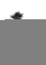 Nasstoys Bondage Whip,feather and Cuffs