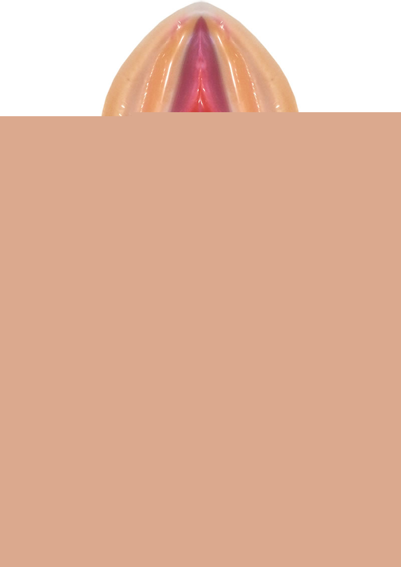 Pussy Lickers Pussy Pops - Strawberry