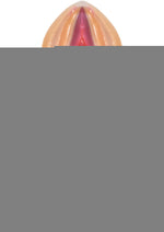 Pussy Lickers Pussy Pops - Strawberry