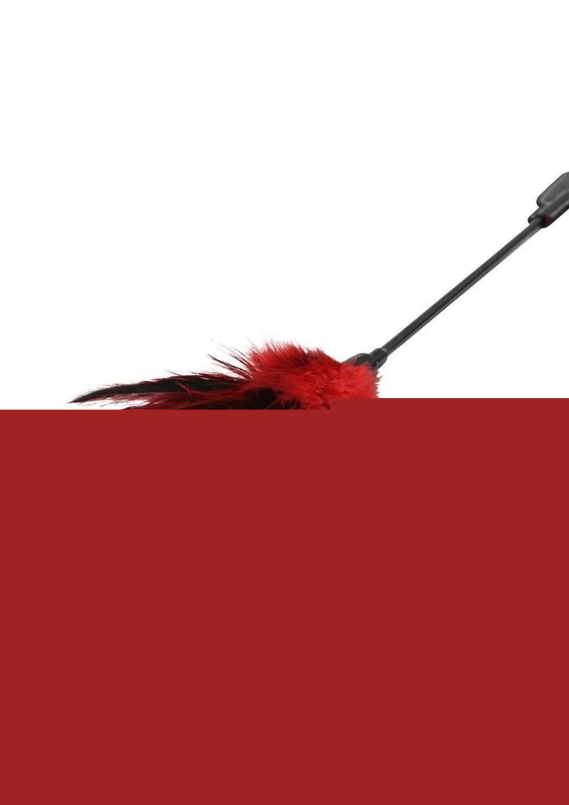 Sex and Mischief Feather Slapper